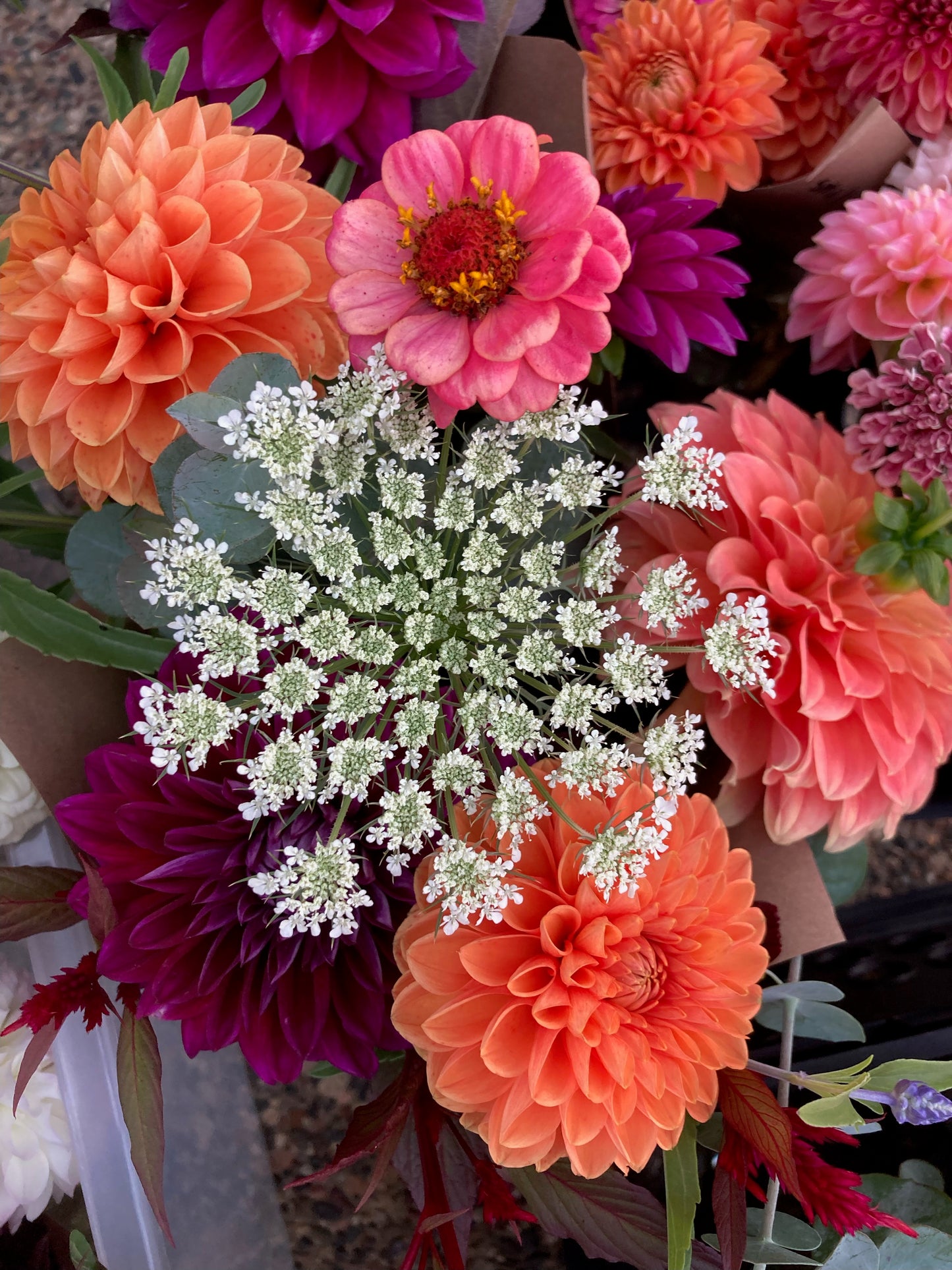 Cut Flower Expansion Pack