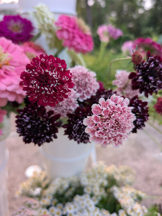 Cut Flower Expansion Pack