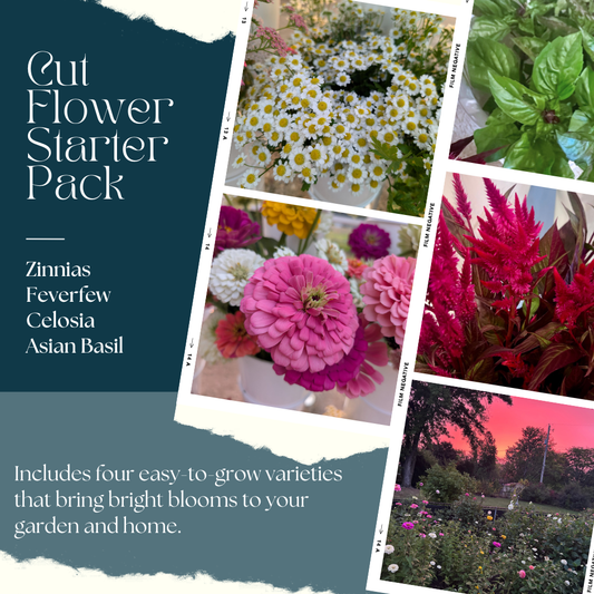 Cut Flower Starter Pack