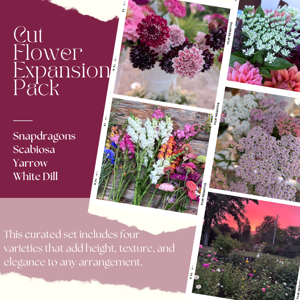 Cut Flower Expansion Pack