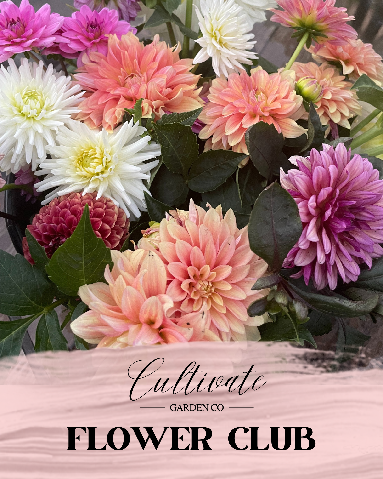 Cultivate Flower Club 2026 – Cultivate Garden Co.
