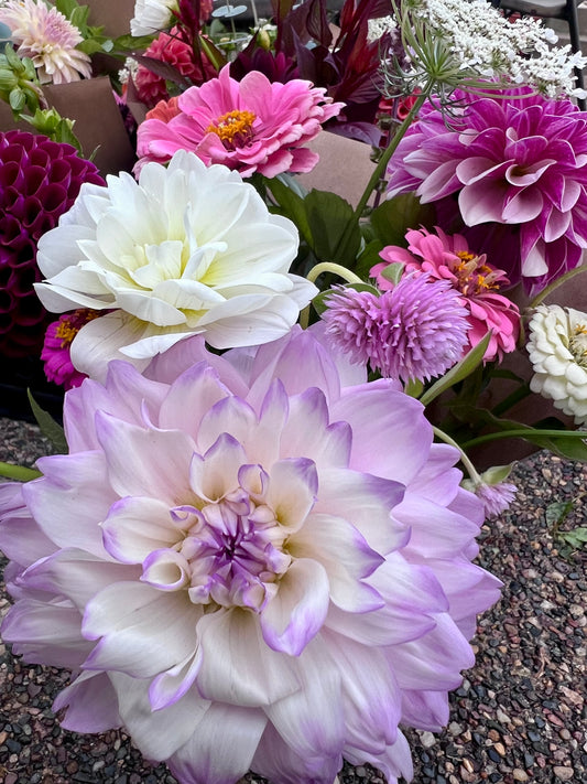 Marionberry Milkshake